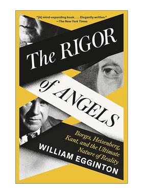 英文原版 The Rigor of Angels 天使的严谨 博尔赫斯 海森堡 康德与现实的本质 哲学 传记 William Egginton 进口英语原版书籍