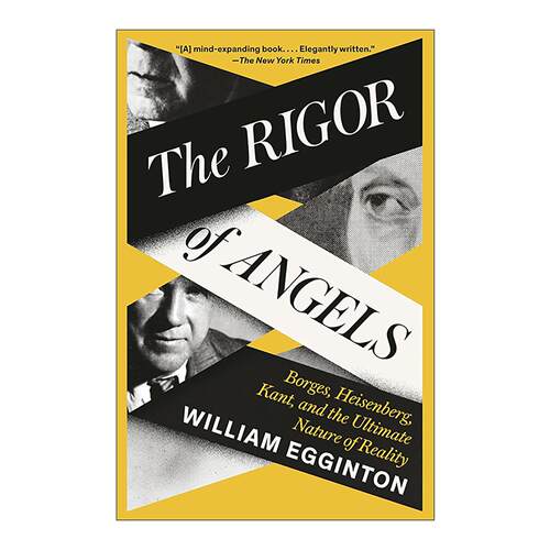 英文原版 The Rigor of Angels 天使的严谨 博尔赫斯 海森堡 康德与现实的本质 哲学 传记 William Egginton 进口英语原版书籍