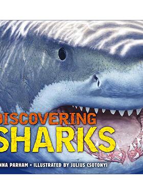 英文原版 Discovering Sharks 发现鲨鱼 精装 儿童科普 英文版 进口英语原版书籍