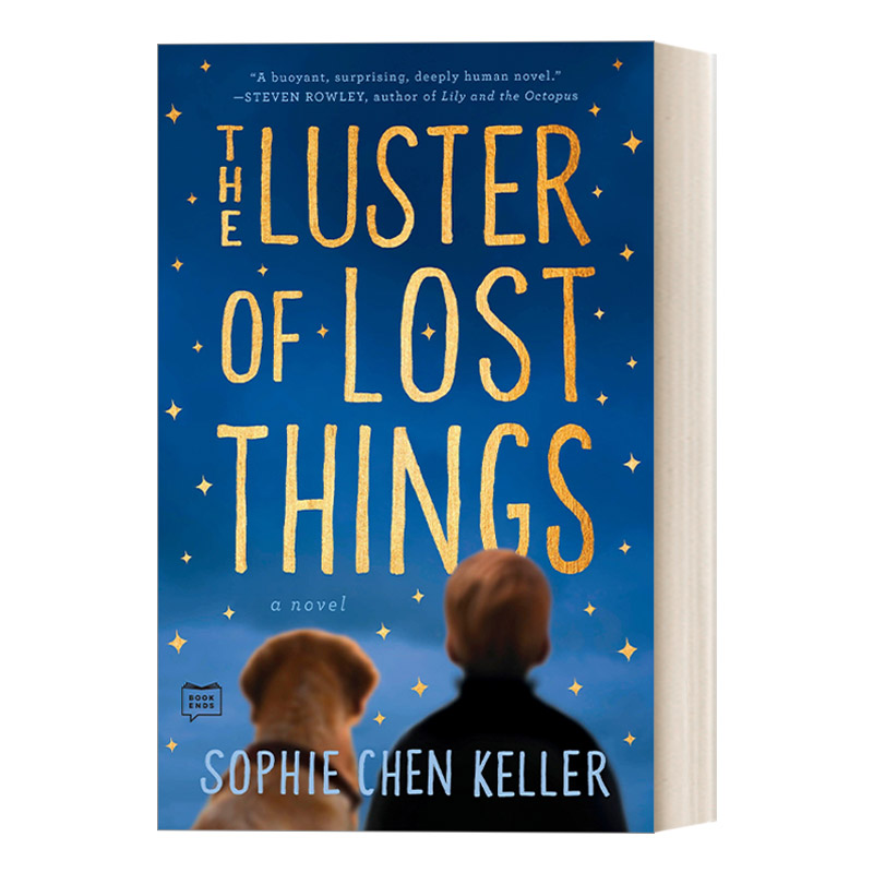 英文原版 The Luster of Lost Things 落失之物，亦有光泽 家庭生活小说 华裔美国女作家Sophie Chen Keller 进口英语原版书籍
