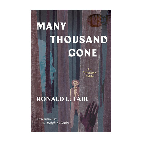 英文原版 Many Thousand Gone An American Fable 数千人逝去 美国寓言故事 美国文库 Ronald L. Fair 英文版 进口英语原版书籍