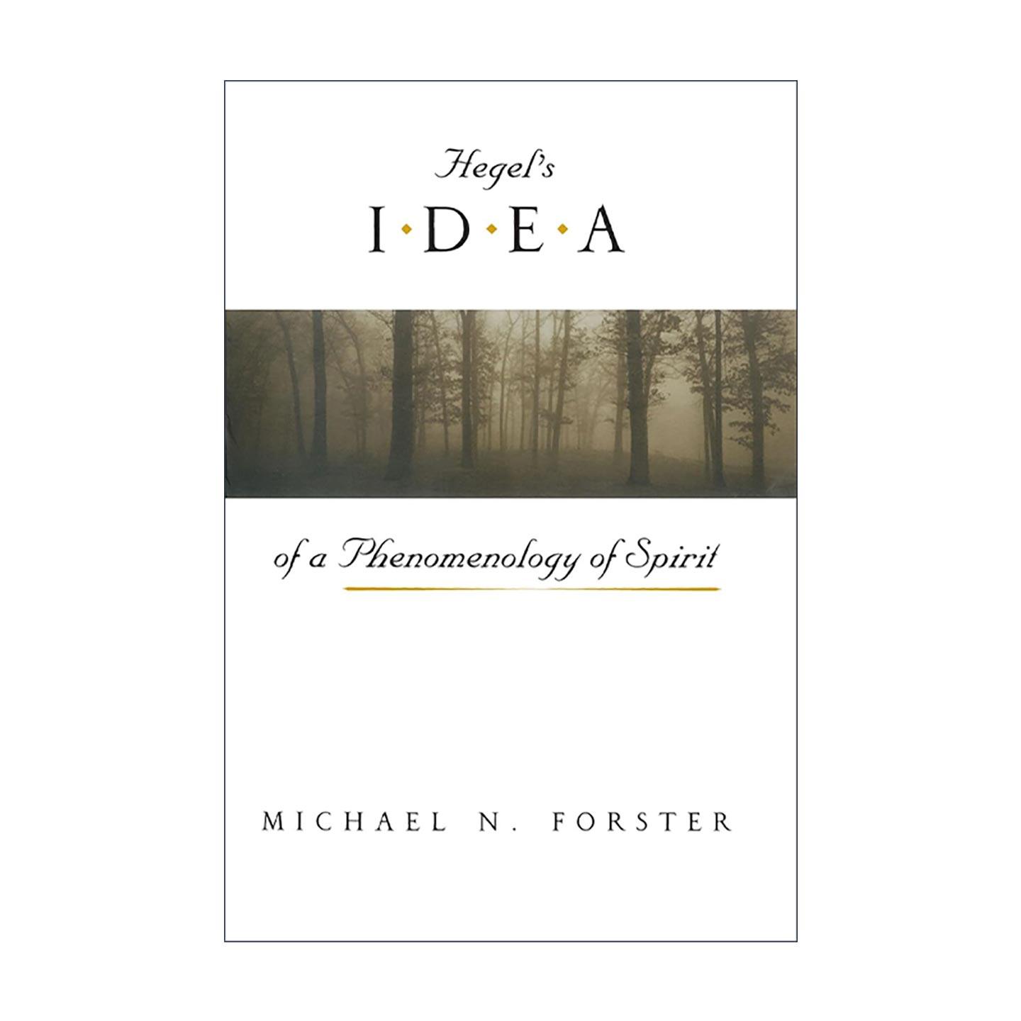 英文原版 Hegel's Idea of a Phenomenology of Spirit 黑格尔的精神现象学思想 第二版 Michael N. Forster 进口英语原版书籍