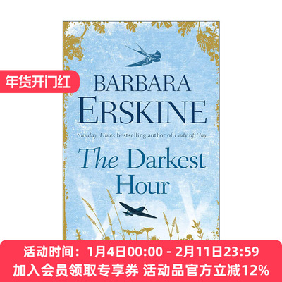 英文原版 The Darkest Hour 至暗之时 芭芭拉?厄金斯 畅销历史悬疑小说 英文版 进口英语原版书籍