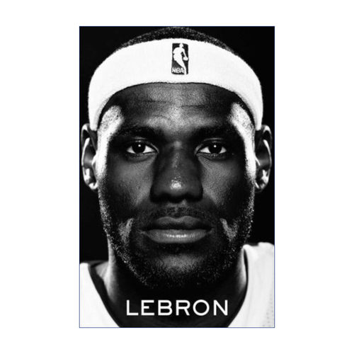 英文原版 LeBron 勒布朗詹姆斯传记 篮球MBA 英文版 进口英语原版书籍