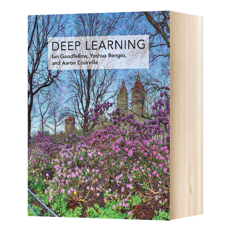 深度学习 英文原版 Deep Learning 计算机科学与人工智能 英文版进口原版英语书籍属于什么档次？
