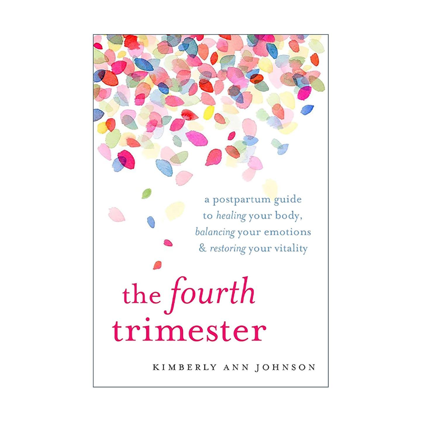 英文原版 The Fourth Trimester 产后第四个月 女性身体恢复指南 平衡情绪 重焕活力 英文版 进口英语原版书籍
