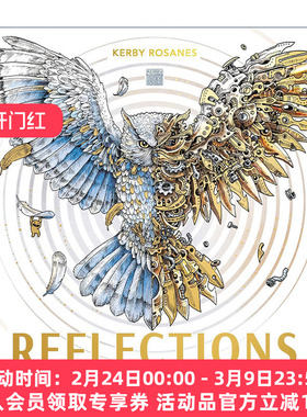 英文原版 Reflections 对称 填色寻物 着色涂色书 绘本 漫画 艺术 Kerby Rosanes 英文版 进口英语原版书籍