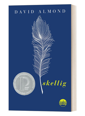 华研原版 英文原版 Skellig 当天使坠落人间 David Almond 普林兹文学奖小说 中小学生课外兴趣阅读 英文版 进口英语原版书籍
