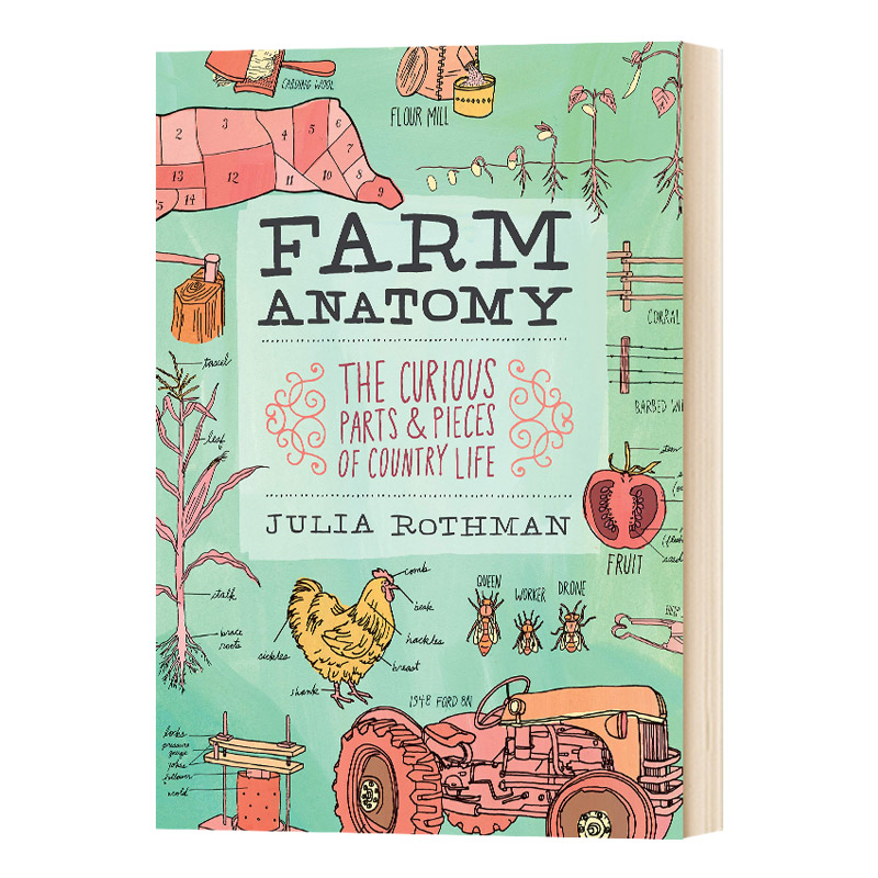 英文原版 Farm Anatomy 农场解剖学 插画科普 英文版