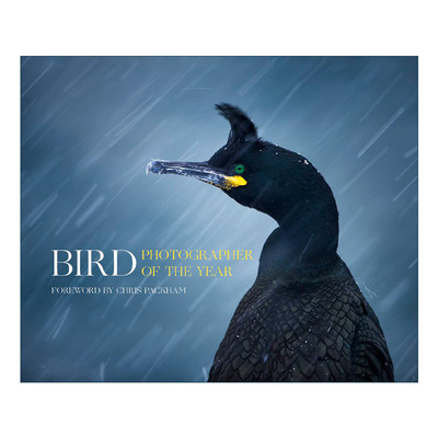 英文原版 Bird Photographer of the Year 世界鸟类摄影比赛 精装野生鸟类图册 英文版 进口英语原版书籍