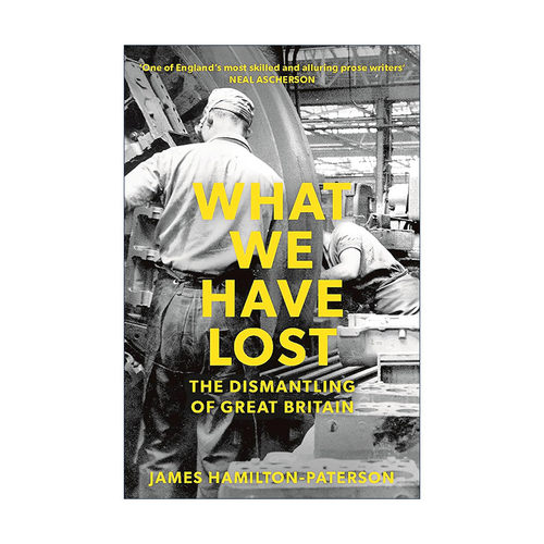 英文原版 What We Have Lost 我们失去的 大不列颠的解体 英国工业的转变 英文版 进口英语原版书籍