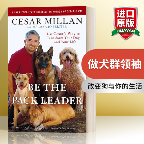 英文原版做犬群领袖进口书籍