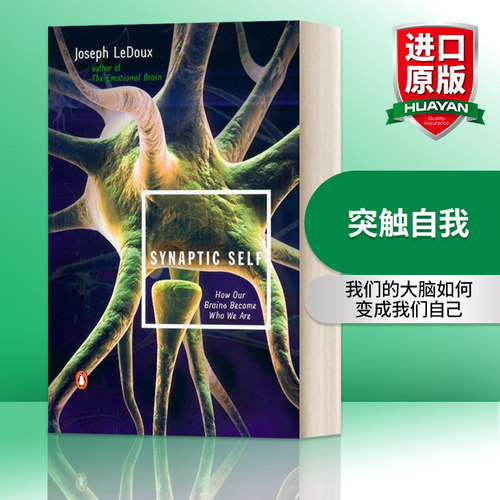英文原版 Synaptic Self 突触自我 我们的大脑如何变成我们自己 英文版 进口英语原版书籍