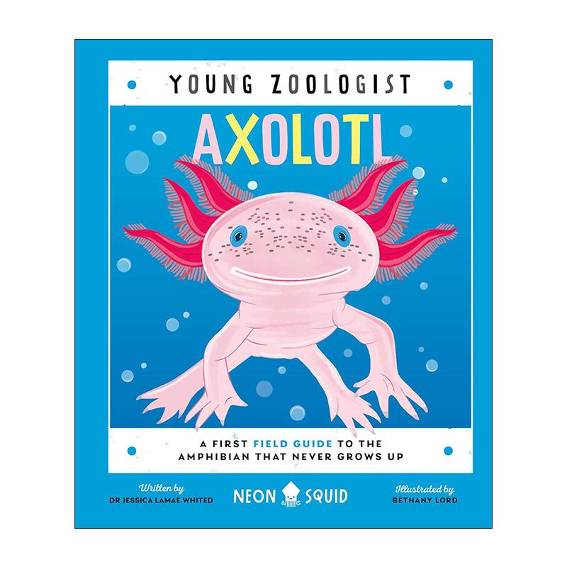 英文原版 Young Zoologist Axolotl 小动物学家 蝾螈 儿童科普百科绘本精装 英文版 进口英语原版书籍