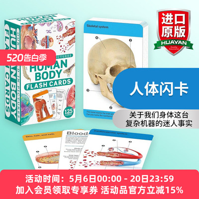 英文原版 Our World in Pictures Human Body Flash Cards 人体闪卡 DK儿童科普百科 英文版 进口英语原版书籍