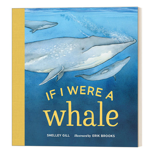 如果我是鲸鱼 英文原版 If I Were a Whale 0-3岁儿童海洋动物主题绘本 纸板书 Shelley Gill 英文版 进口英语原版书籍
