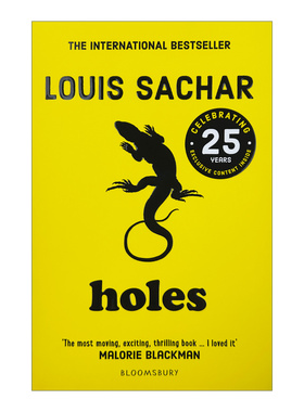 Holes 洞 英文原版 青少年课外英语阅读书籍 路易斯·萨查尔Louis Sachar 纽伯瑞金奖 美国国家图书奖 英文版 进口英语原版书籍