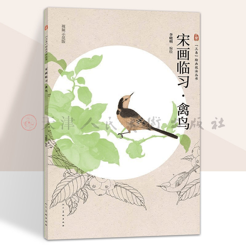【视频解析】宋画临习 禽鸟 三易绘画技法丛书孙其峰画集教学笔记图例范本步骤解析美术初学传统国画写意牡丹花卉禽鸟入门