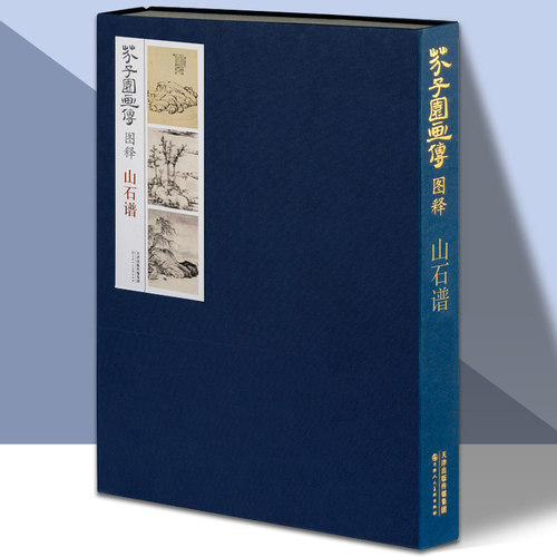 芥子园画传图释山石谱 国画芥子园画谱康熙版临摹范画石法皴法山法流泉瀑布石梁水云画法国画技法教程教材书 天津人美