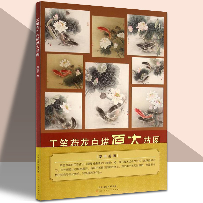 工笔荷花白描原大范图 路雨年绘  工笔鲤鱼荷花原大版实用白描画稿12幅 附彩稿 临摹范本 中国画作品集 正版 天津人美