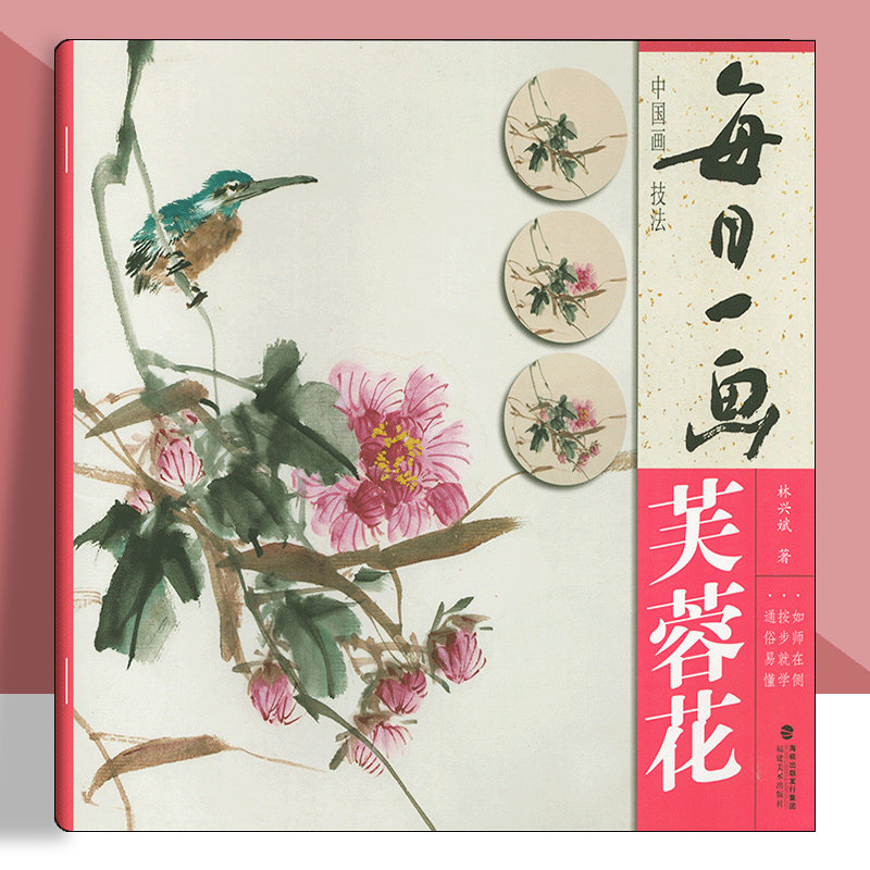 每日一画 芙蓉花 中国画技法国画入门基础教程书写意水墨画花鸟册页 工笔画花卉技法画法大全集教材 国画初学者画花卉蔬果福建美术