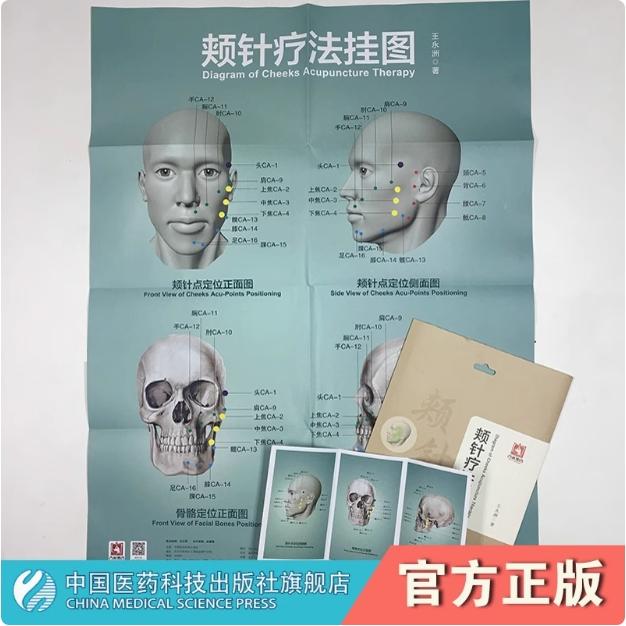中医针灸针刺疗法图谱颊部医学基础颊针穴位颊针点定位面部取穴颊针疗法图谱颊针疗法挂图王永洲特定穴位针灸颊针治疗与操作王永洲