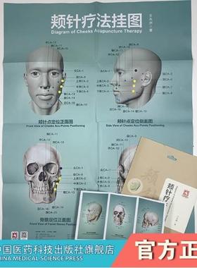 中医针灸针刺疗法图谱颊部医学基础颊针穴位颊针点定位面部取穴颊针疗法图谱颊针疗法挂图王永洲特定穴位针灸颊针治疗与操作王永洲