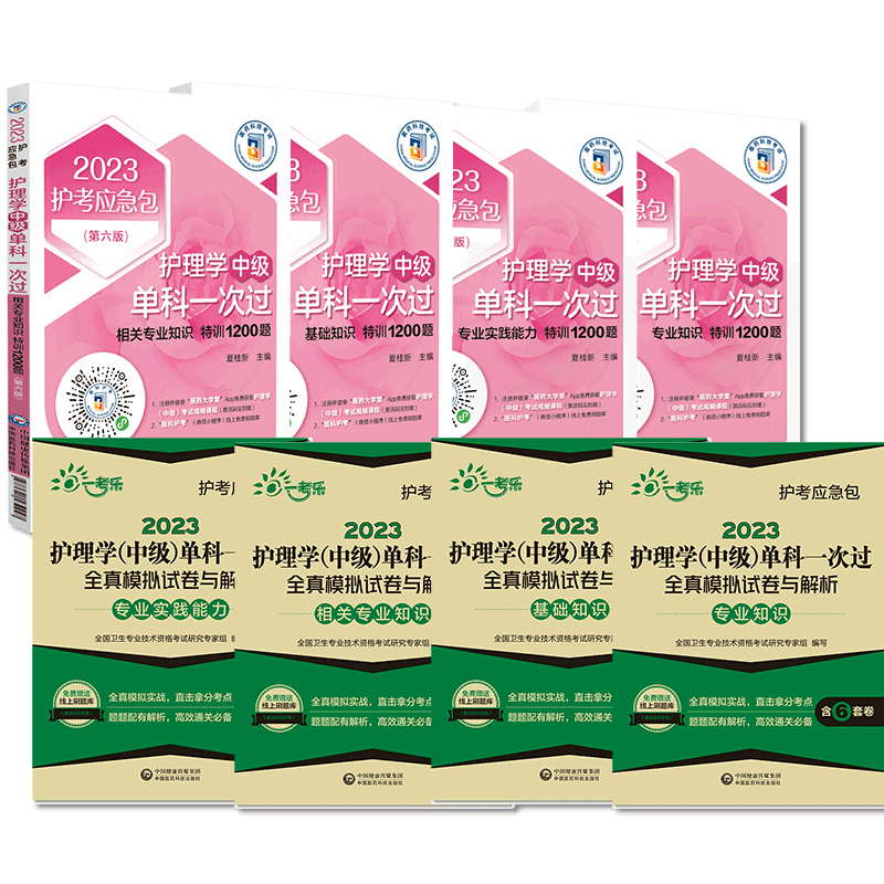 主管护师护理学中级卫生资格考试