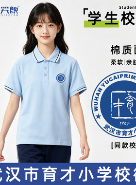 武汉育才小学校服团购夏季学院风polo衫班服男女同款浅蓝色