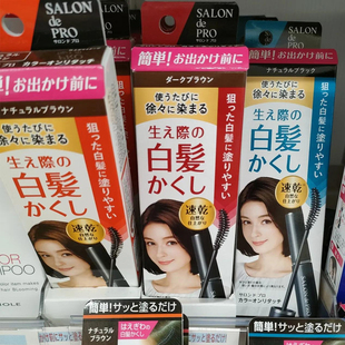 日本Dariya塔丽雅天然植物染发笔棒剂少量白发一次性速乾简单