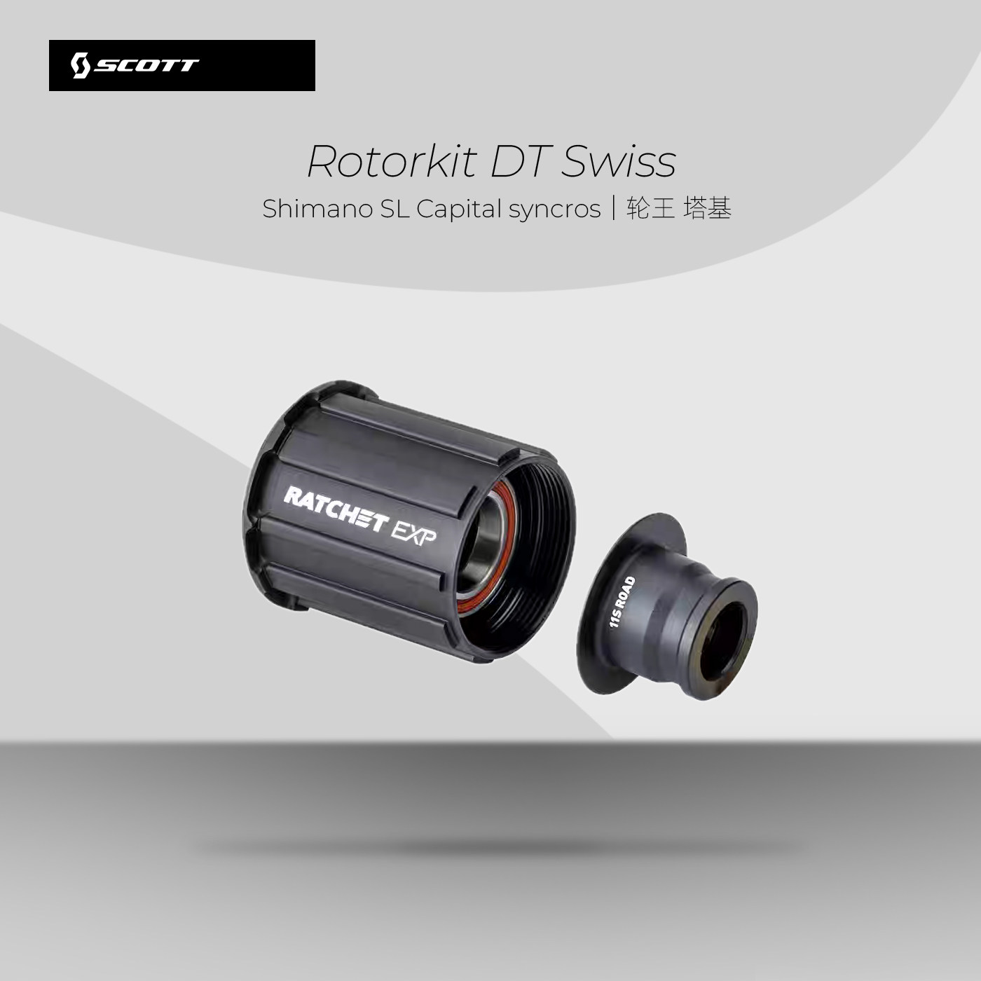 轮王 塔基 Rotorkit DT Swiss Shimano SL Capital syncros 塔基
