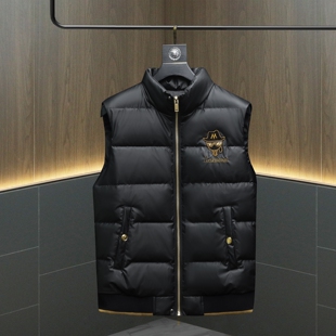 冬季男款轻奢潮牌刺绣立领羽绒马甲外套欧货90白鸭绒保暖羽绒背心