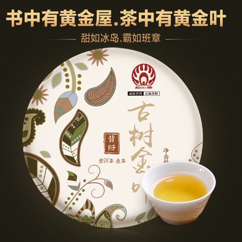 勐傣2019年昔归古树金叶生茶