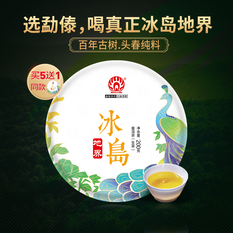 现货春茶勐傣冰岛地界古树