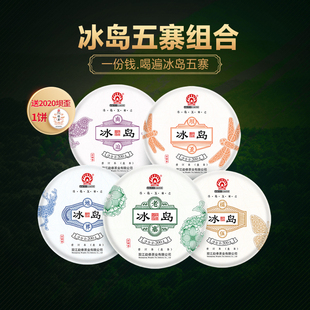 【24年五寨组合】勐傣2024年冰岛五寨组合老寨地界纯料古树1000克