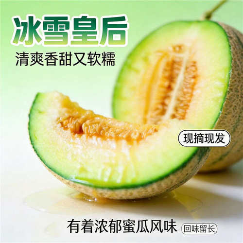 新疆哈密瓜冰雪皇后蜜瓜绿瓤老汉瓜独特果糖香当季新鲜水果