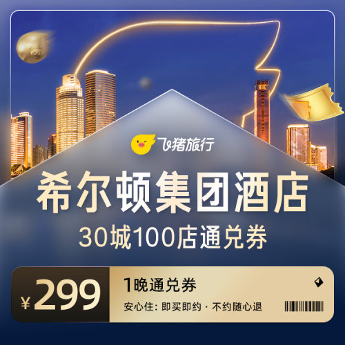 希尔顿集团酒店30城100店299元1晚通兑券