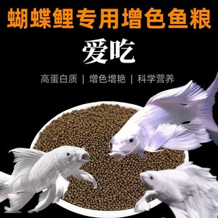 蝴蝶鲤鱼饲料高蛋白鱼粮增色增体通用型上浮观赏鱼鱼苗金鱼饲料