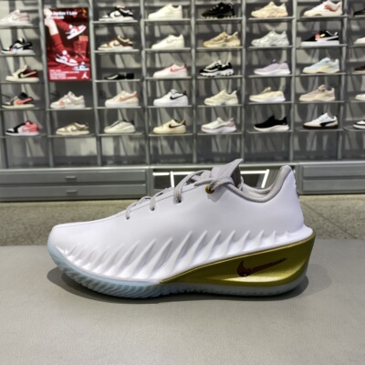 正品耐克NIKE男款休闲篮球鞋