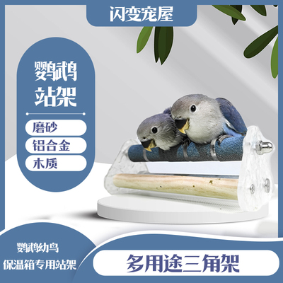 鹦鹉保温箱专用站架玩具磨嘴磨爪站杆鸟笼配件用品