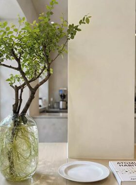 小叶女贞花瓶摆件客厅插花玻璃马醉木大肚高级感透明水培吊钟水培