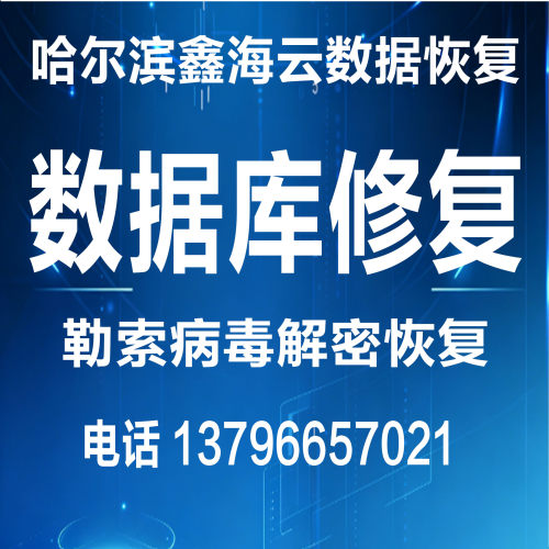 oracle数据库修复  SQLSERVER数据库恢复    勒索病毒文件解密