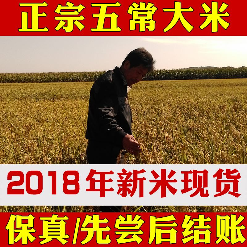 2018年東北新大米五常稻花香大米10斤腹白米農家梗米特價5kg在類目 糧油米麪/南北乾貨/調味品, 米/麪粉/雜糧, 米類, 大米中 - 來自Buy2taobao.com提供專業的淘寶代購服務