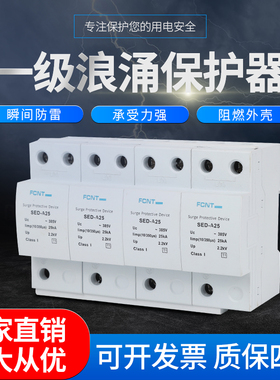 FCNT型一级石墨间隙电源浪涌保护器防雷器电涌保护器SPD