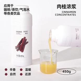 苹果肉桂风味糖浆450g玉桂果露浓浆咖啡奶茶鸡尾酒专用上某食品允