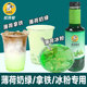 商用0脂绿薄荷汁浓缩液拿铁奶绿奶茶店专用调酒冰粉 薄荷糖浆1kg