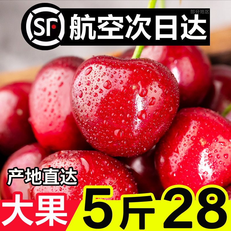 山东大樱桃特大！四皇冠八年老店