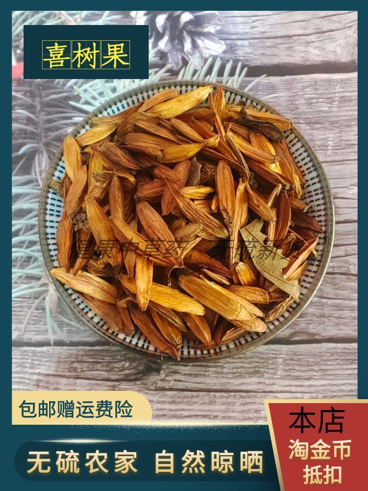 喜树果中药材 旱莲 云南旱莲木 野芭蕉 水漠子秋青树精选500g包邮