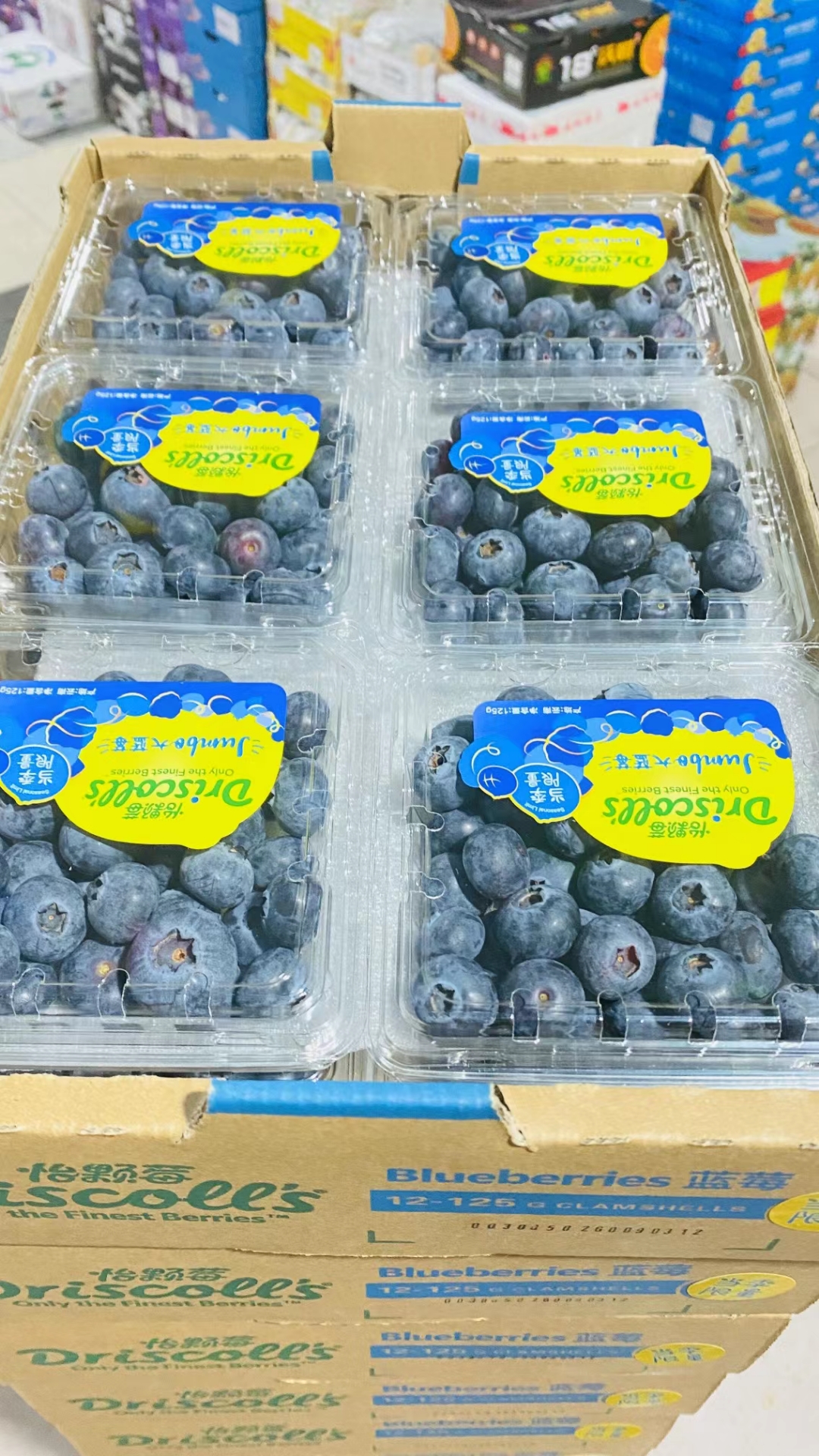 【顺丰航空】怡颗莓蓝莓王 当季限量版云南一颗梅大果Driscolls