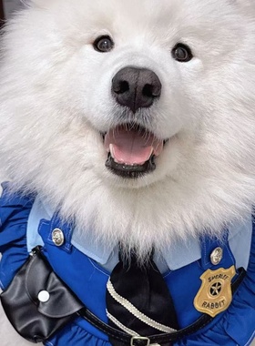 原创宠物猫狗口水巾朱迪尼克围嘴宠物COS服装兔子警官围兜尼克